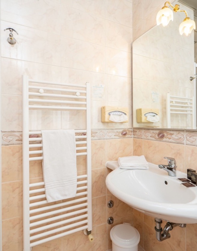 bagno con doccia e termoarredo