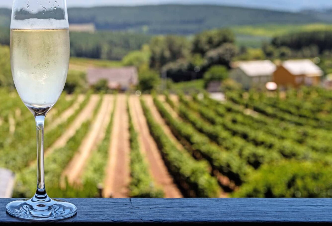 enogastronomia colli euganei