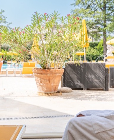 Piante verdi in un vaso vicino a una piscina, con lettini gialli e ombrelloni sullo sfondo. Atmosfera rilassante.